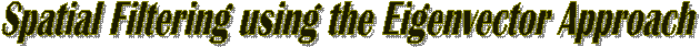 Spatial Filtering using the Eigenvector Approach  
